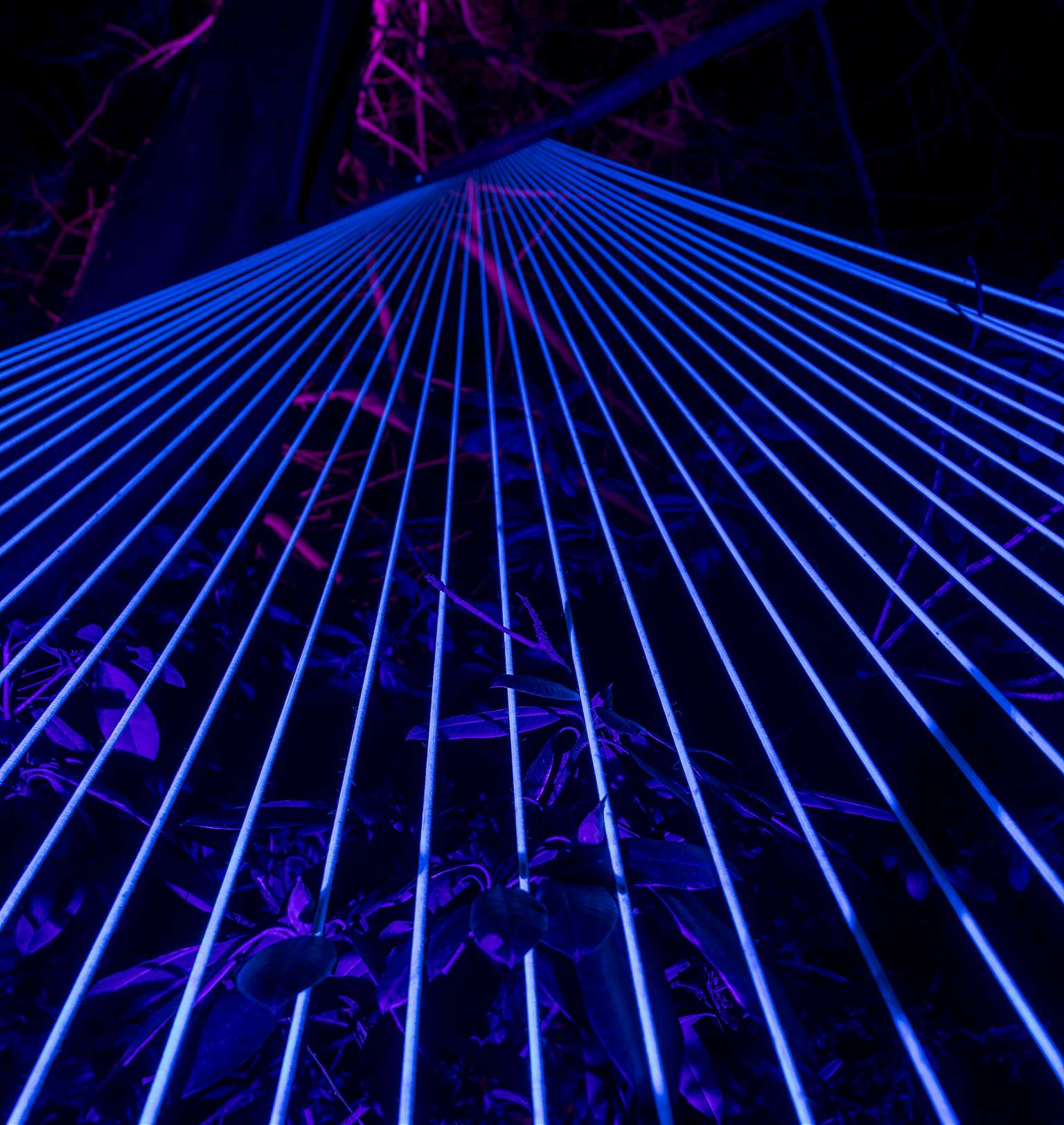 Winterlichter 2018 / 7